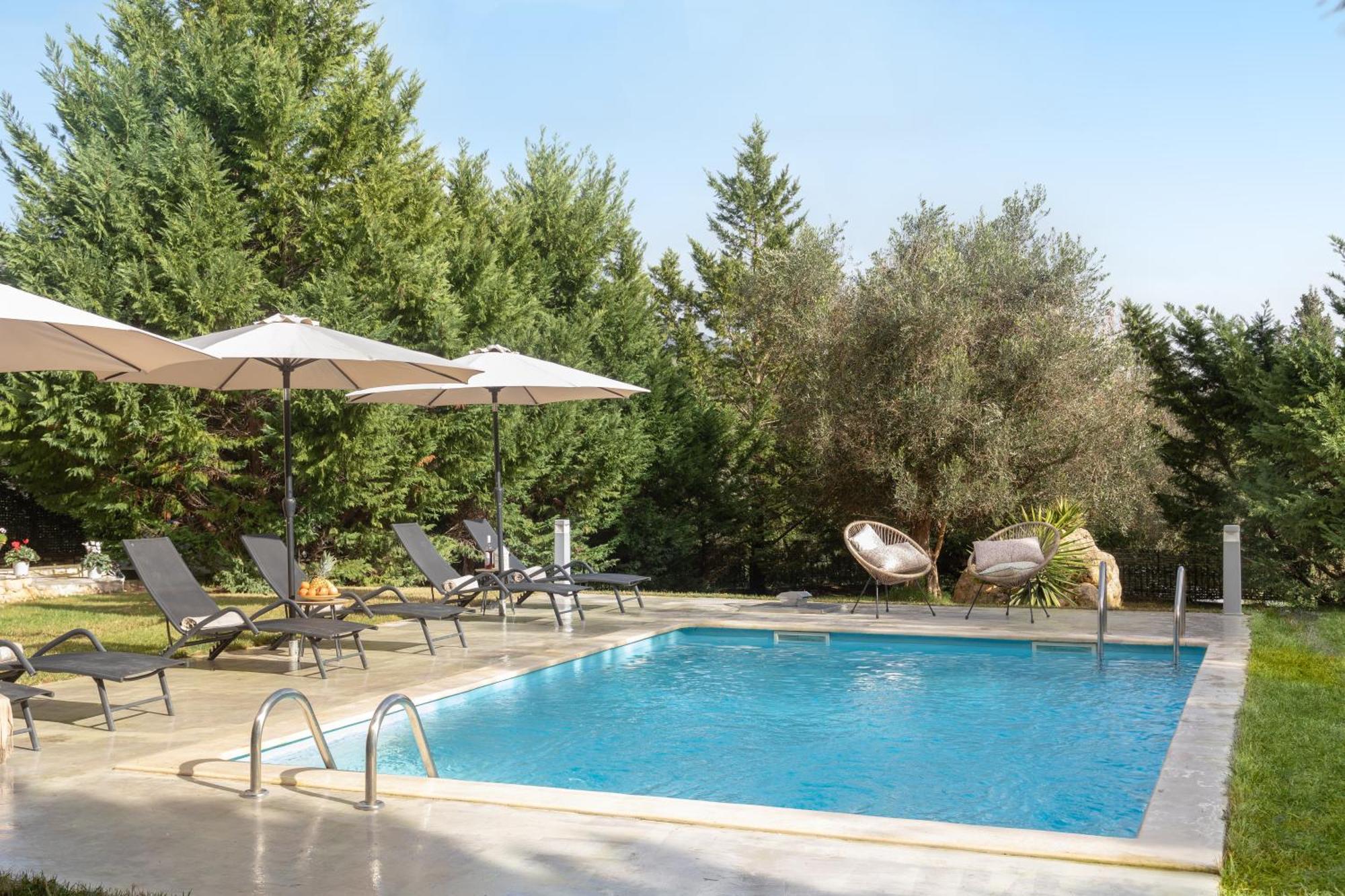 Eleonas Luxury Homes Gardelades